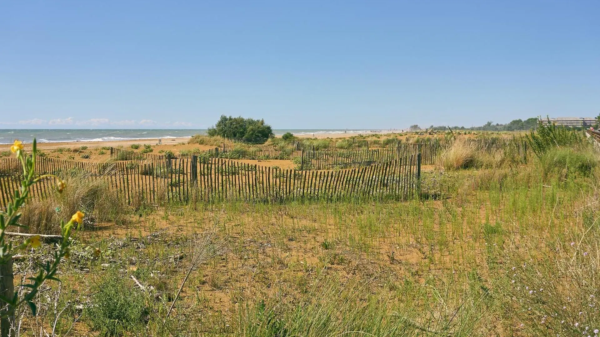 Apartment Seafront View Studio In Bibione - Beahost
